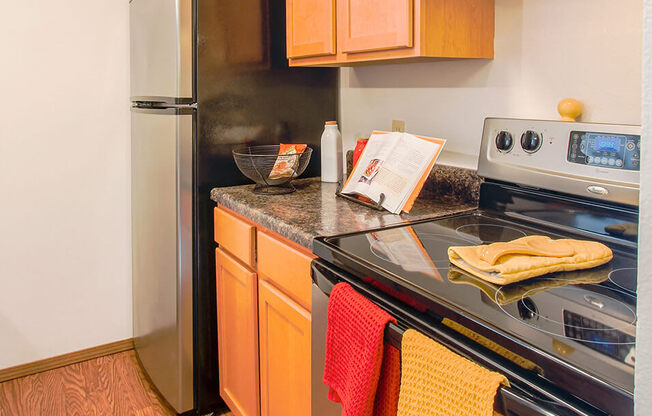 Fully-Equipped Apartment Kitchen