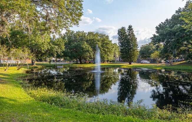 Exterior landscaping and pond with fountain