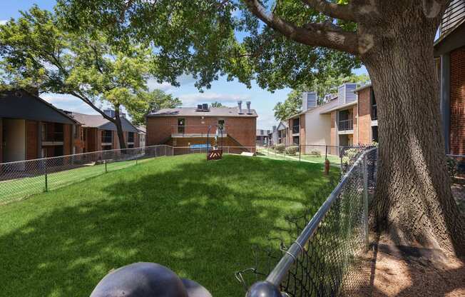 A tree in a yard with a fence and houses in the background.