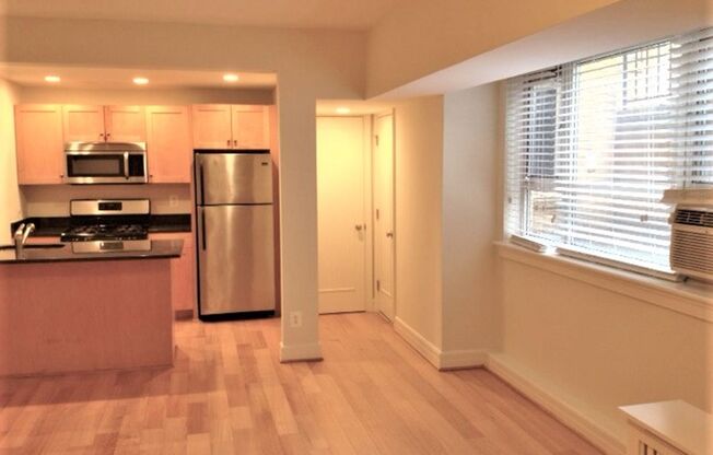 Studio, 1 bath, 450 sqft, $1,925, Unit 120