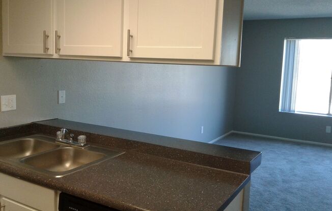 1 bed, 1 bath, 565 sqft, $1,175, Unit 231