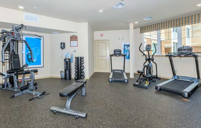 Fitness Center at Riversong Apartments in Bradenton, FL