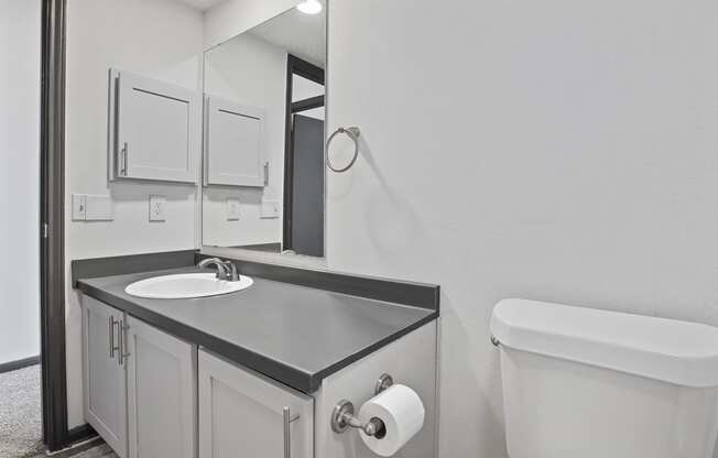 a bathroom with a sink and a toilet and a mirror