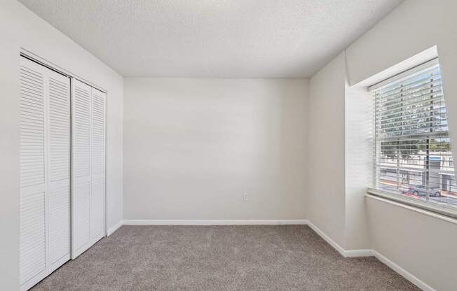 A room with white walls, carpeted floor, and a window with blinds.