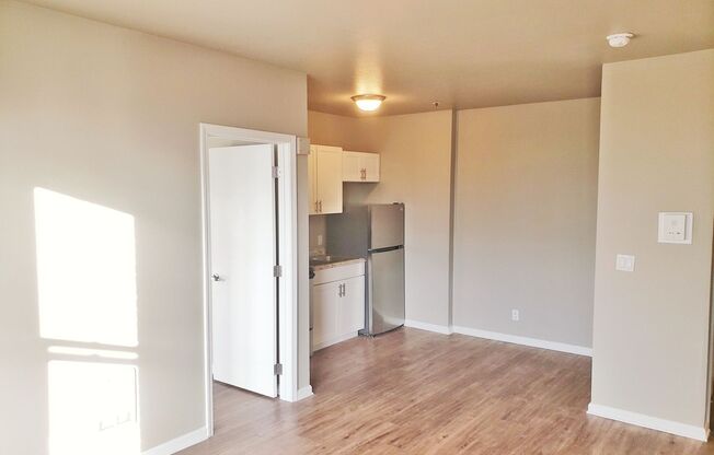 1 bed, 1 bath, 456 sqft, $1,350, Unit 311