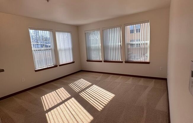 1 bed, 1 bath, 561 sqft, $1,725, Unit B203