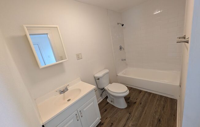 St. Pete 2 Bed 2 Bath For Rent