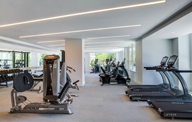 Large fitness center with cardio equipment and free weights