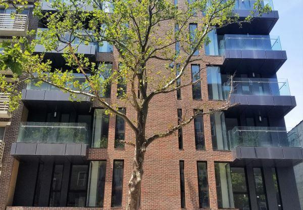 1 bed, 1 bath, 565 sqft, $3,154, Unit 6D