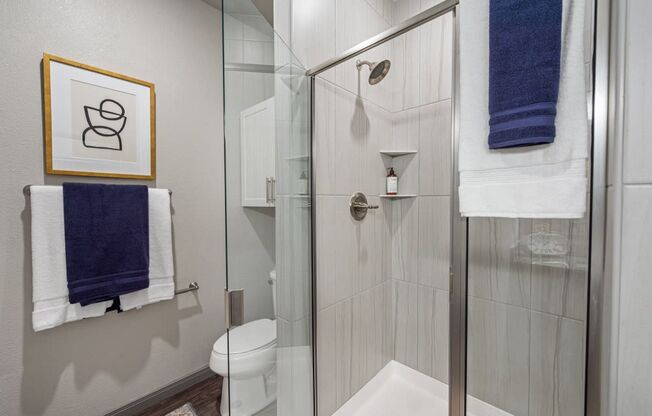 Caliza Apartments in Cedar Park, TX