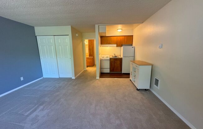 Studio, 1 bath, 375 sqft, $1,075, Unit 108