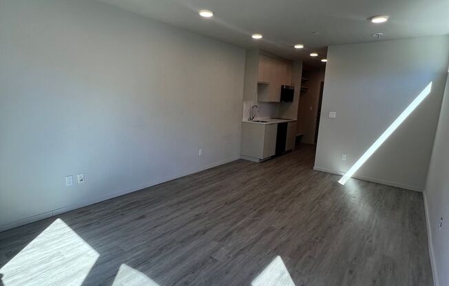 Studio, 1 bath, 349 sqft, $1,450, Unit 505