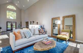 Decorated Living Room With Natural Light at Palmetto Grove, Charleston