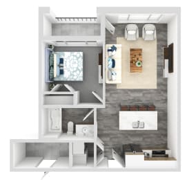 1 bed, 1 bath, 595 sqft, $1,500