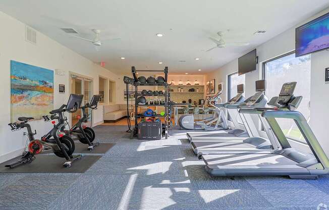 A gym with treadmills, exercise bikes, and other equipment.