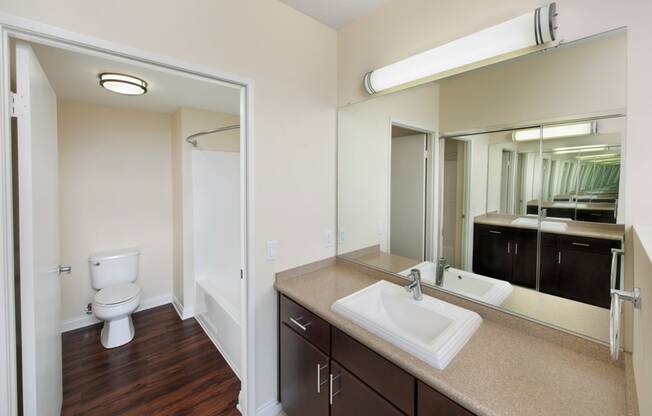 Renovated Bathrooms with Wood-Style Flooring at Renaissance Tower, California, 90015