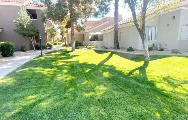 1 bed, 1 bath, $1,200