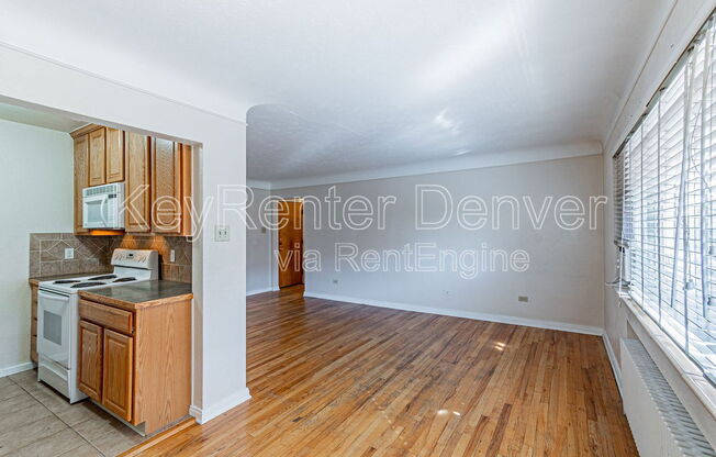 733 E 2nd Avenue, Apt 106