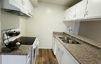 1 bed, 1 bath, $1,750, Unit 210