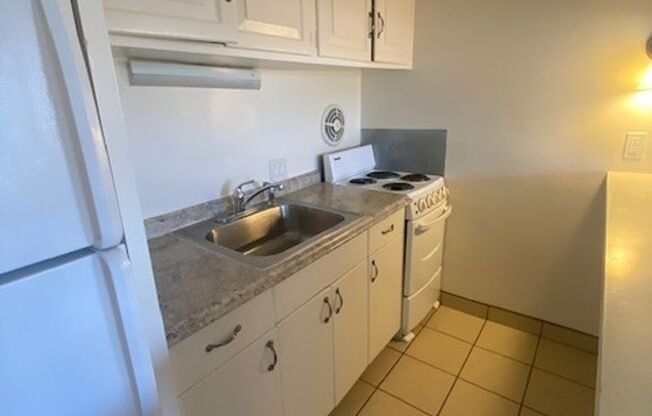 Studio, 1 bath, 398 sqft, $1,695, Unit 4201-101