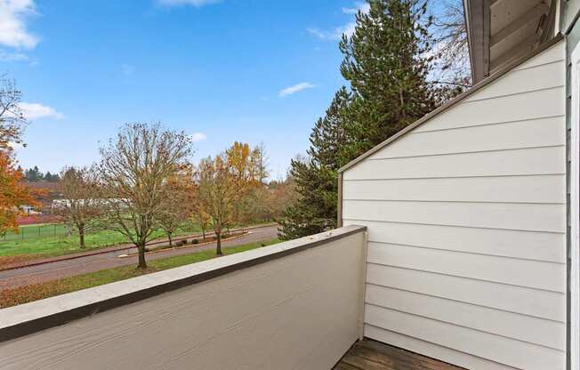 A view from a balcony overlooking a tree-lined street.