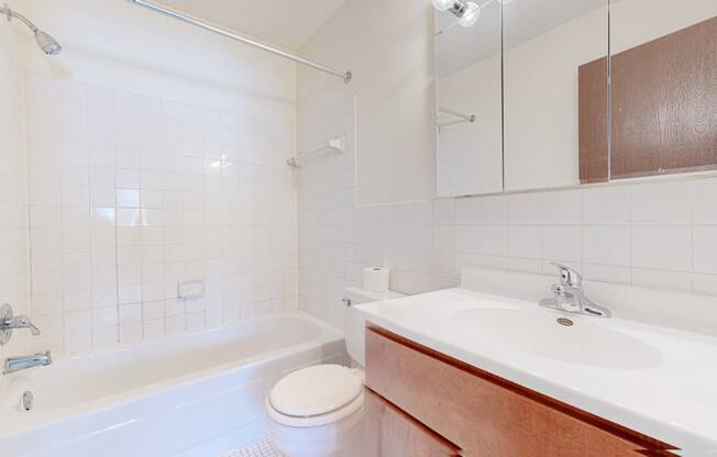 a bathroom with a sink toilet and bathtub