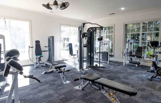 A gym with a variety of equipment including a leg press machine, a chest press machine, a leg curl machine, a leg extension machine, a lat pulldown machine, a seated calf raise machine, a leg press machine,