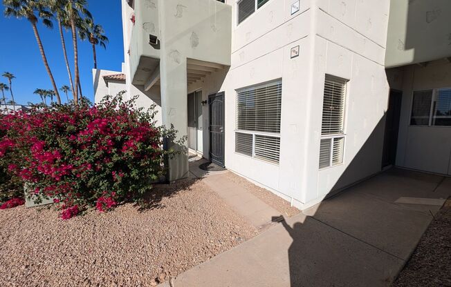 1 Bedroom Condo in the Boardwalk at Andersen Springs Community Near W Ray Rd and N Dobson Rd!