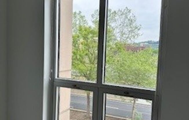 1 bed, 1 bath, 883 sqft, $2,086, Unit 303