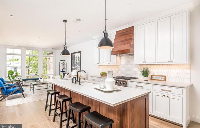 Luxury Rowhome Condo with Private Rooftop in Historic Mount Vernon Square