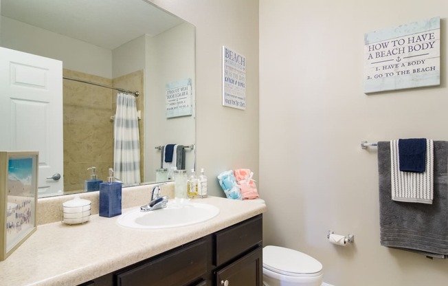 a bathroom with a sink toilet and mirror