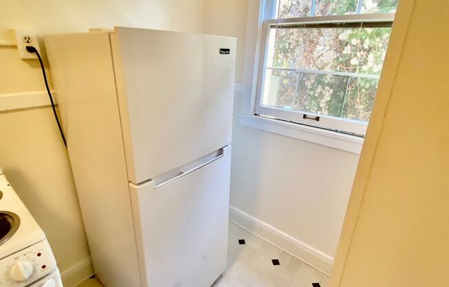 Studio, 1 bath, 365 sqft, $1,195, Unit 306