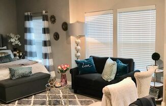 Studio, 1 bath, 533 sqft, $1,800