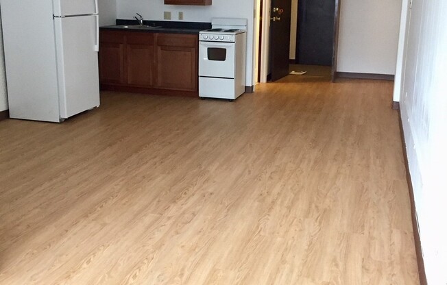 Studio, 1 bath, 450 sqft, $1,165, Unit 310