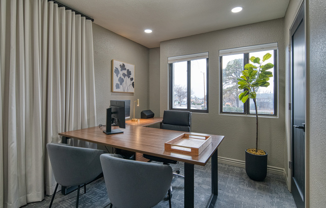 Leasing office desk at Treehouse in Albuquerque, New Mexico