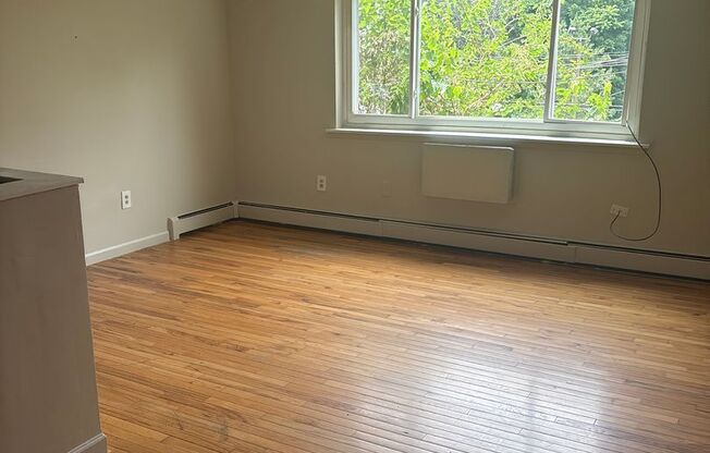 1 bed, 1 bath, 700 sqft, $1,200, Unit 303
