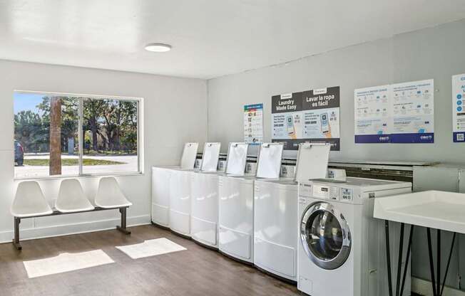 A laundromat with rows of washing machines and a bench.