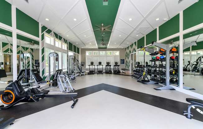 Fitness Center with cardio machines and strength training equipment at Carmel Vista, McDonough, Georgia