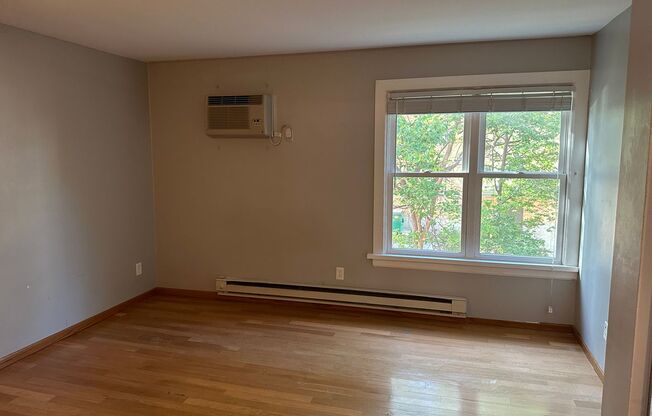 Studio, 1 bath, 400 sqft, $925, Unit Unit 205