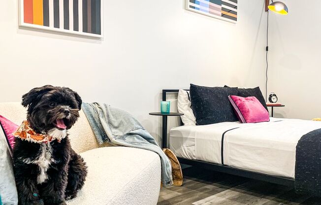 Studio, 1 bath, 437 sqft, $1,850, Unit 305