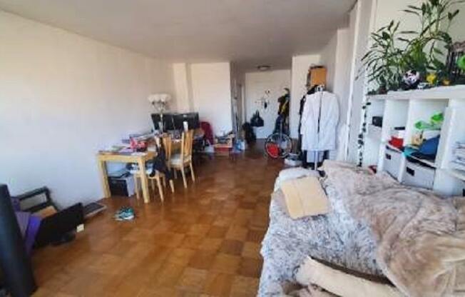 Studio, 1 bath, 600 sqft, $3,000, Unit 16S