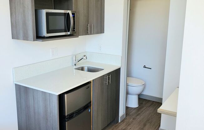 Studio, 1 bath, 167 sqft, $1,049, Unit D211
