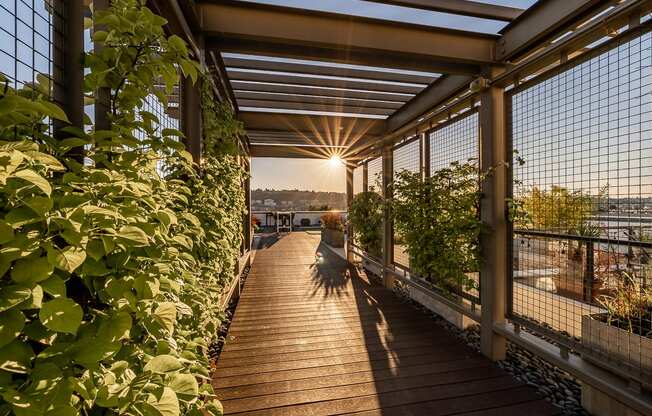 Equinox Rooftop Terrence Entrance at Equinox Apartments, Washington, 98102