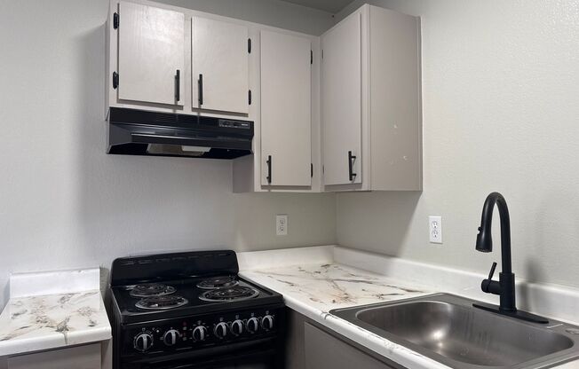 Studio, 1 bath, 410 sqft, $925, Unit 487-09