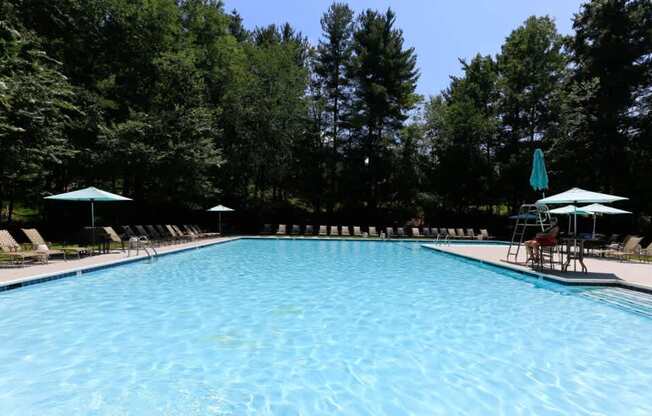 A large swimming pool surrounded by trees and lounge chairs.