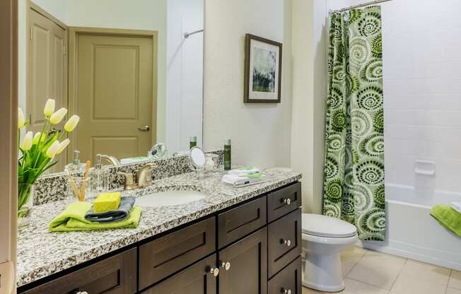 a bathroom with a sink and a toilet