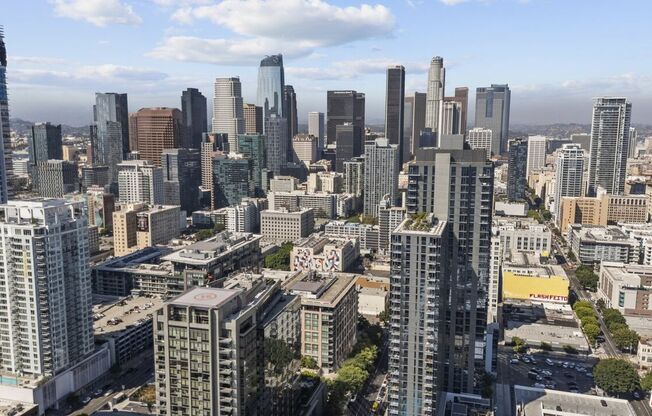 1 bed, 1 bath, 790 sqft, $2,600, Unit 1019