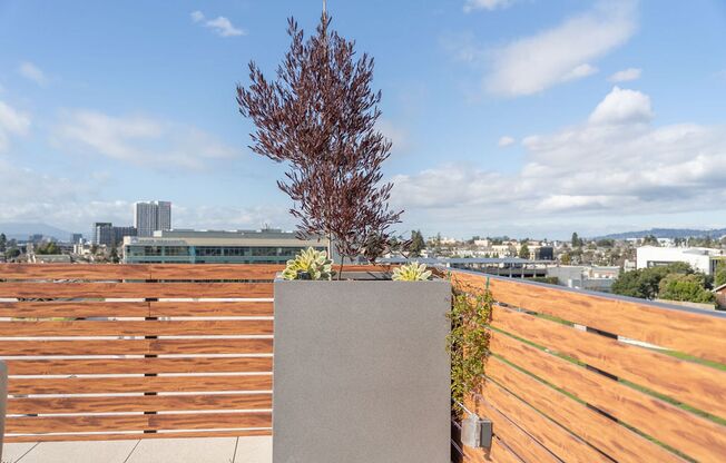 2 beds, 2 baths, 1,156 sqft, $3,518, Unit 305