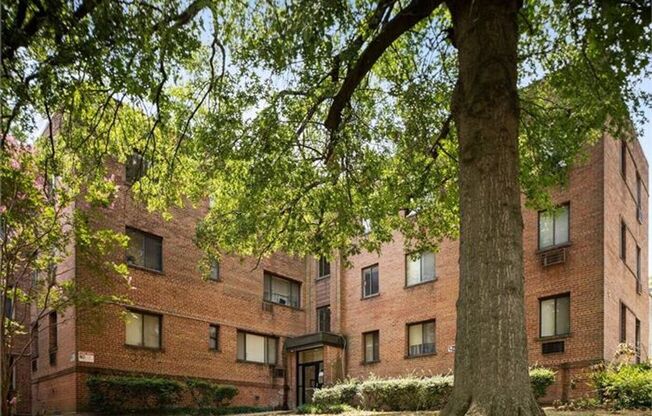 Top-Floor 2-Bedroom Condo in Southwest DC – Remodeled & Move-In Ready