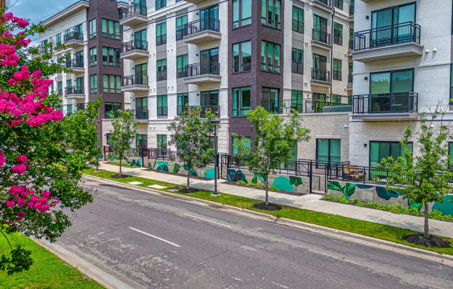 Luxury Apartments In Knox/Henderson